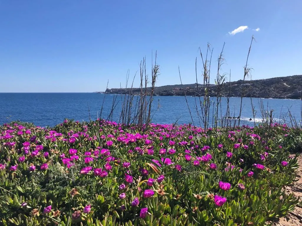 Relaxing Cristal Bedroom Apartment Sleeps 5 Num1500 Santa Teresa Gallura